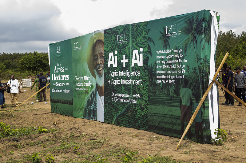 Madiba palmtree farm